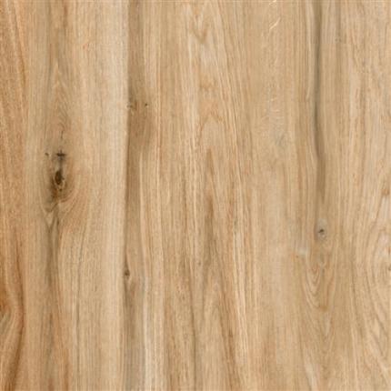 Arzhan gres porcellanato - 60*60